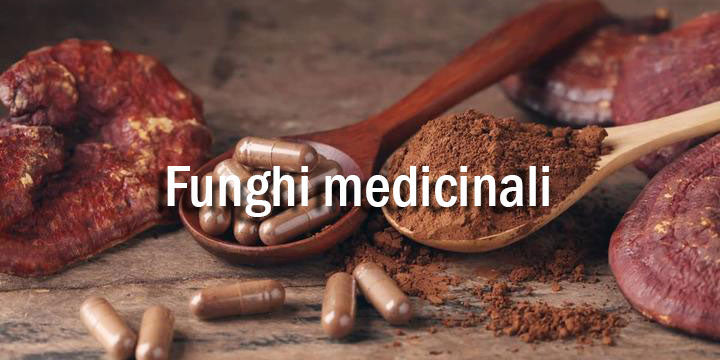 Funghi medicinali